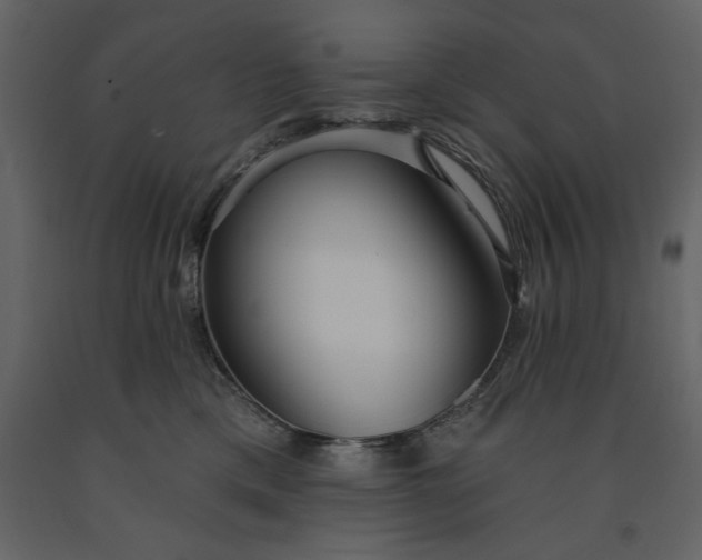 X0000091230425200708231658
