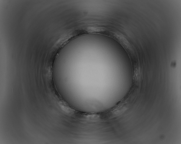 X0000091230426200708231658