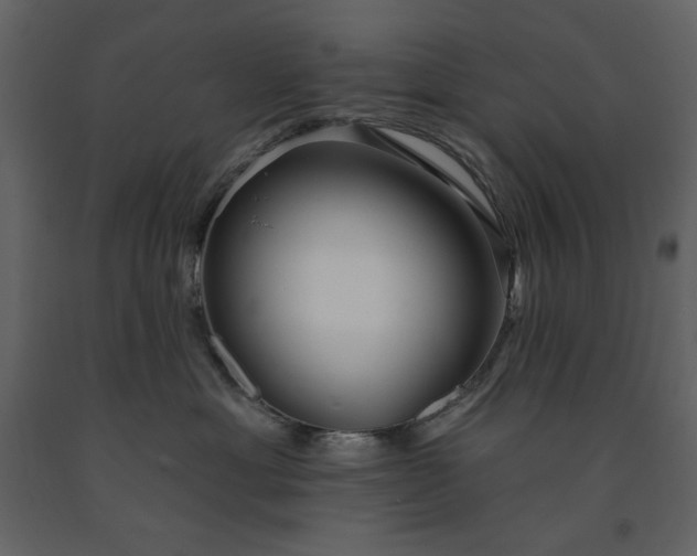 X0000091230429200708231658