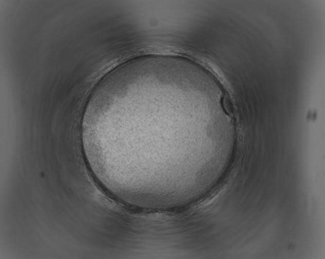 X0000091230433200708231658