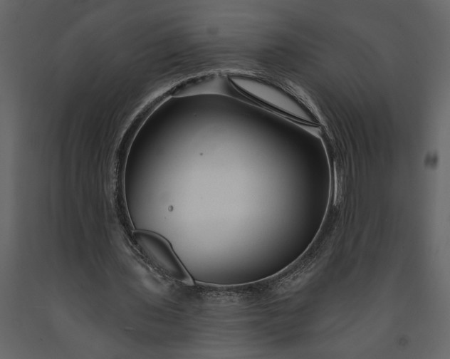 X0000091230435200708231658
