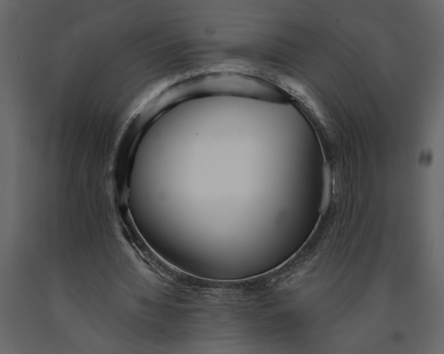 X0000091230436200708231658
