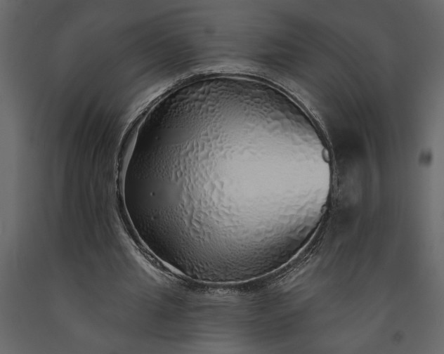 X0000091230437200708231658