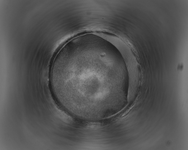 X0000091230438200708231658