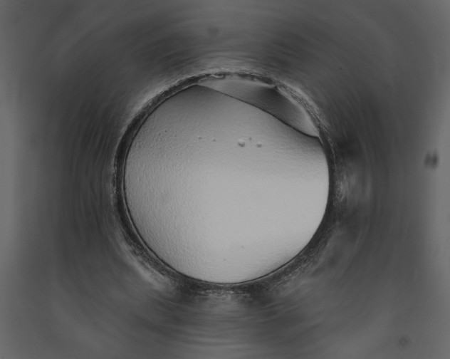 X0000091230439200708231658
