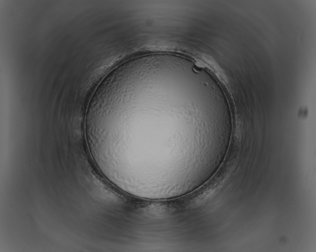 X0000091230441200708231658