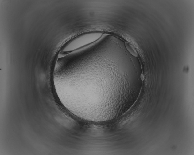 X0000091230442200708231658