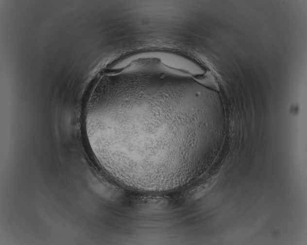 X0000091230443200708231658