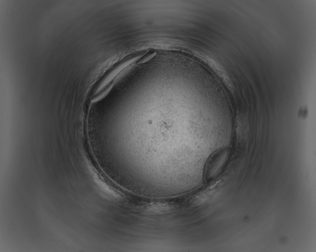 X0000091230445200708231658
