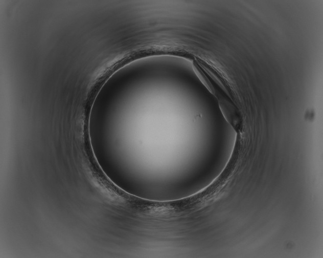 X0000091230446200708231658