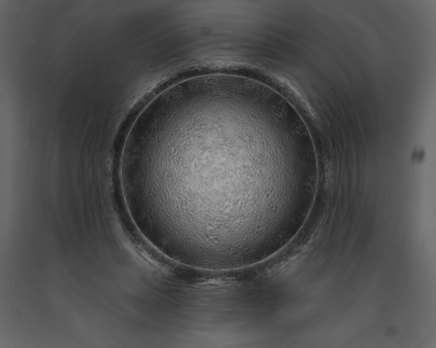 X0000091230447200708231658