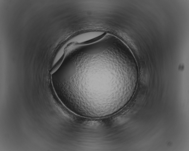X0000091230449200708231658