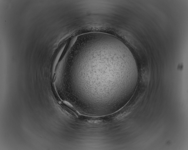 X0000091230450200708231658