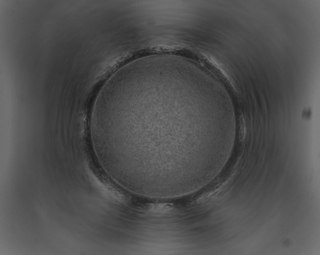 X0000091230451200708231658