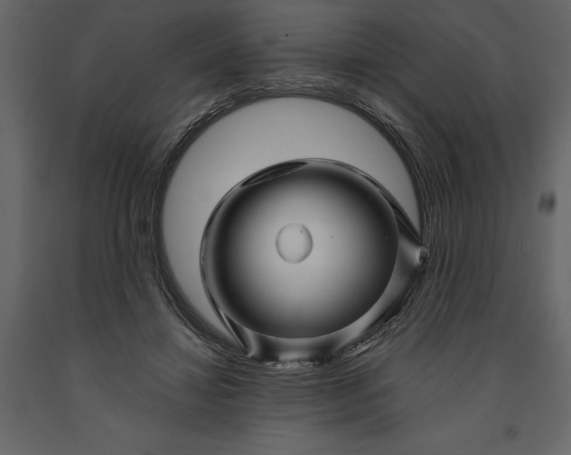 X0000091230452200708231658