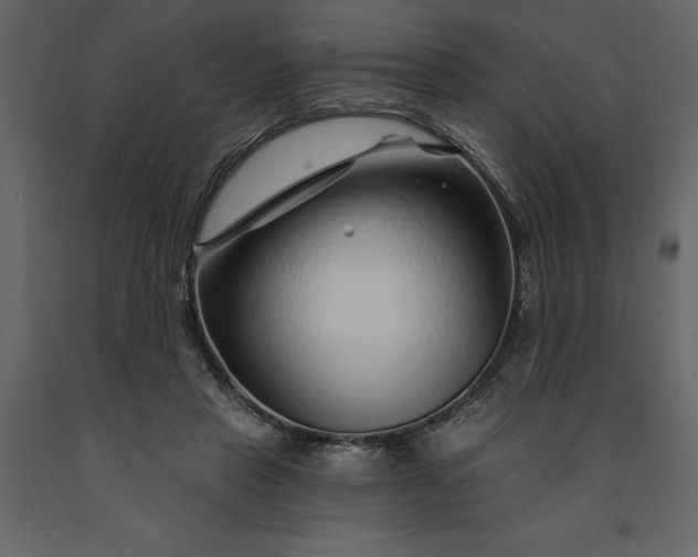X0000091230453200708231658