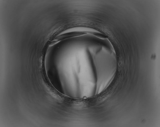 X0000091230454200708231658