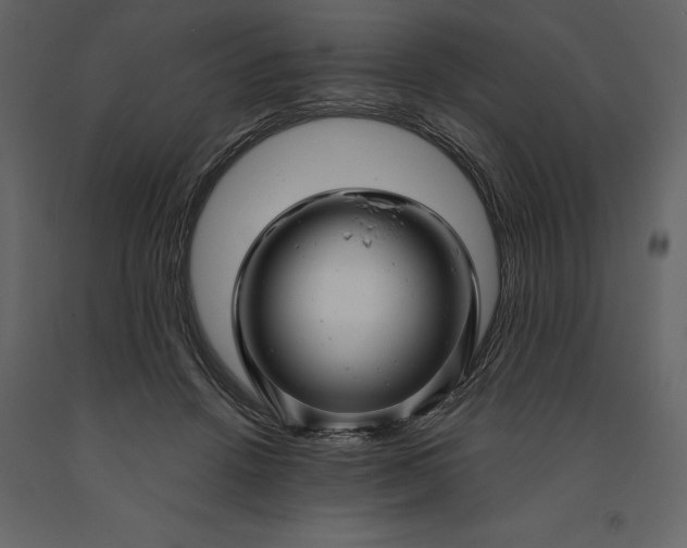 X0000091230456200708231658