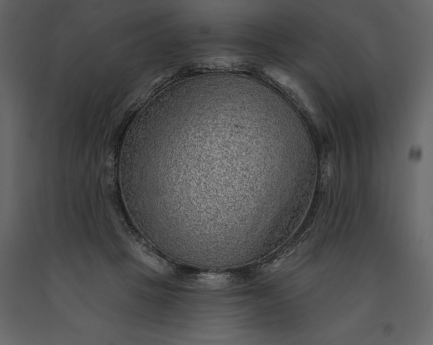 X0000091230457200708231658