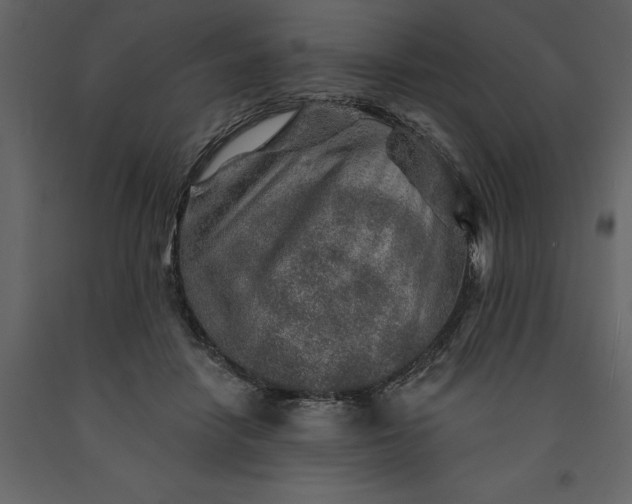 X0000091230458200708231658