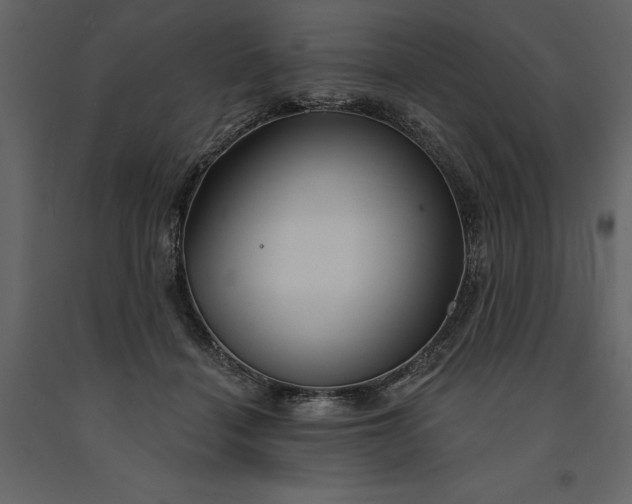 X0000091230460200708231658
