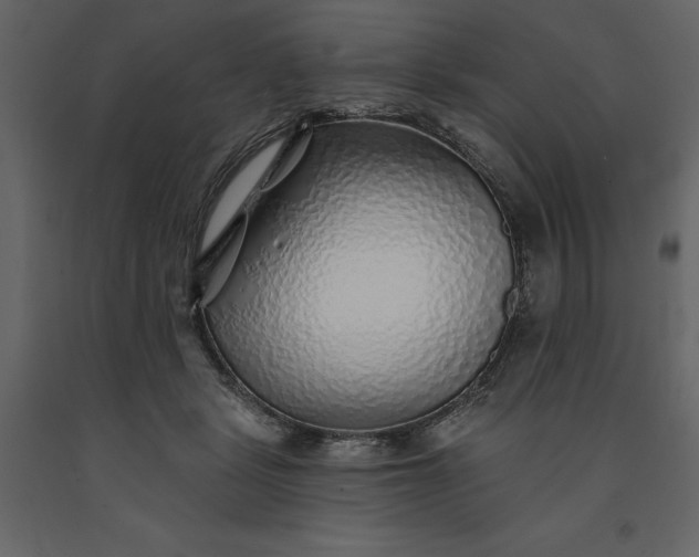 X0000091230461200708231658