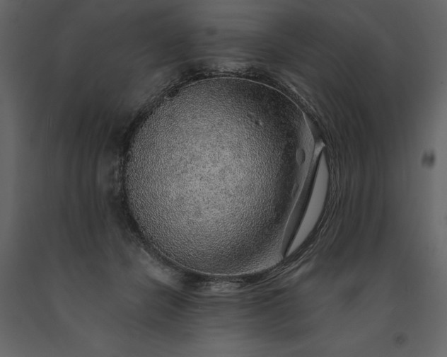 X0000091230462200708231658