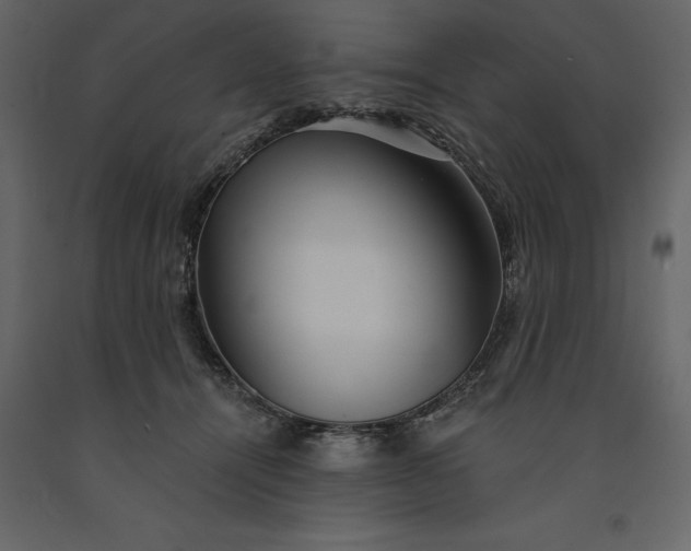 X0000091230464200708231658
