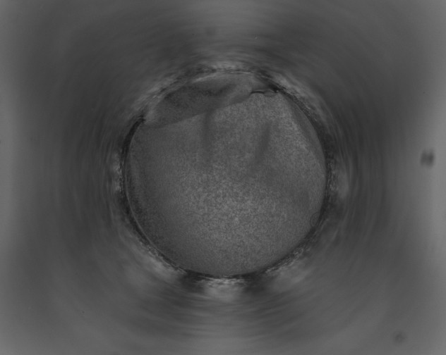 X0000091230465200708231658