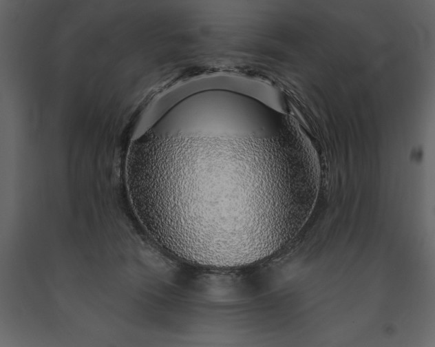 X0000091230466200708231658