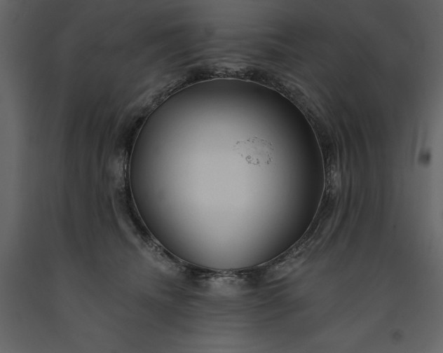 X0000091230468200708231658