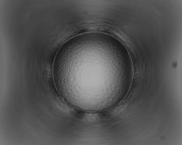 X0000091230469200708231658