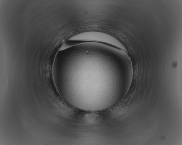 X0000091230470200708231658