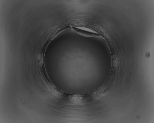 X0000091230471200708231658