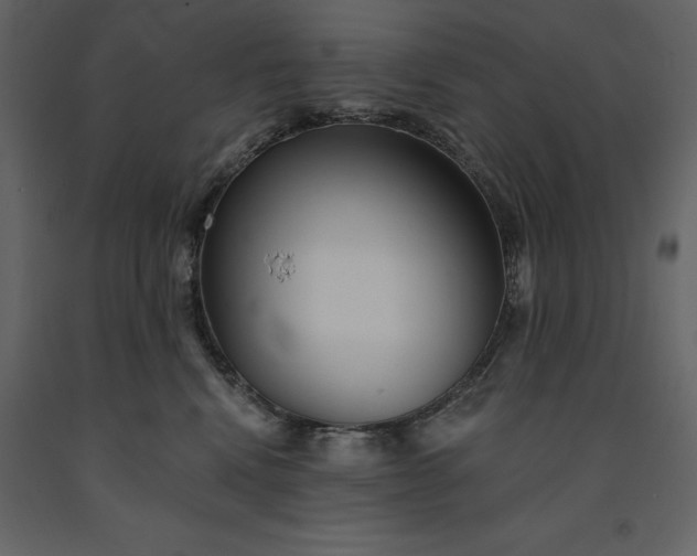 X0000091230472200708231658