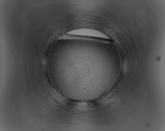 X0000091230473200708231658