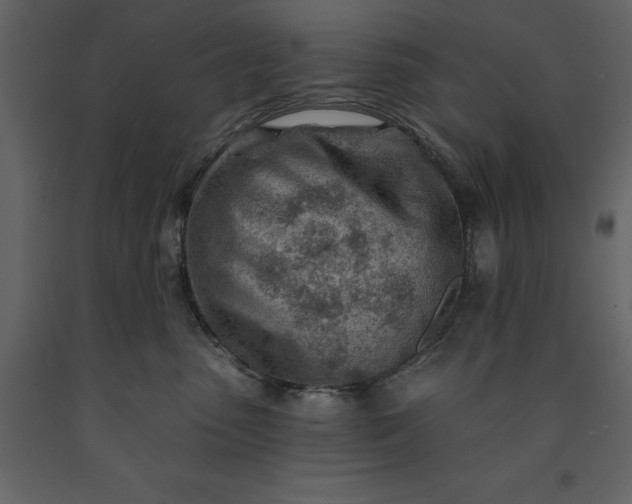 X0000091230475200708231658