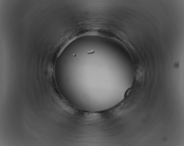 X0000091230476200708231658
