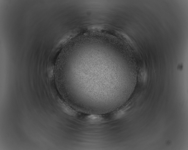 X0000091230477200708231658