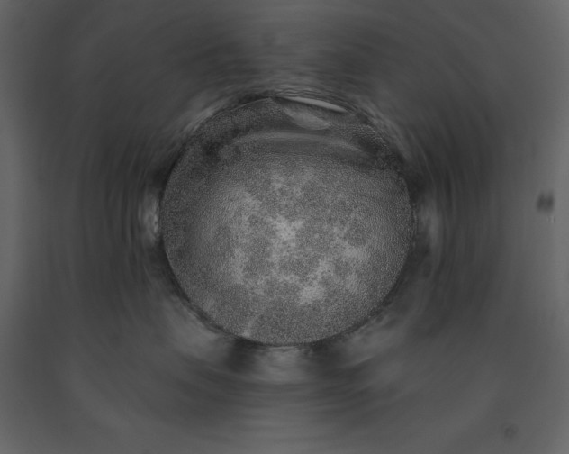 X0000091230479200708231658