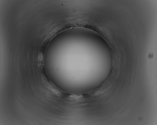 X0000091230480200708231658