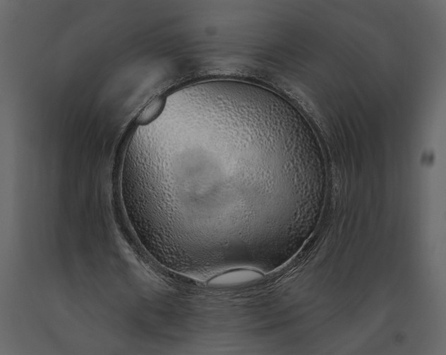 X0000091230482200708231658