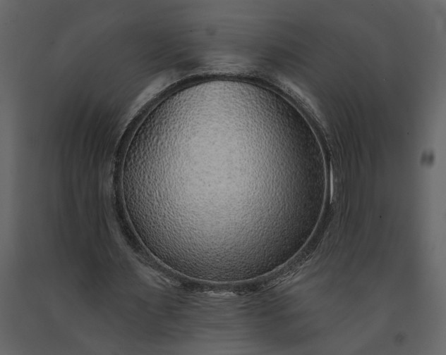 X0000091230483200708231658