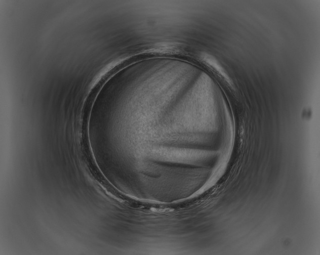 X0000091230484200708231658