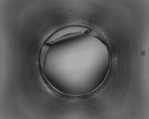 X0000091230485200708231658