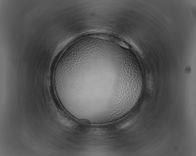 X0000091230486200708231658