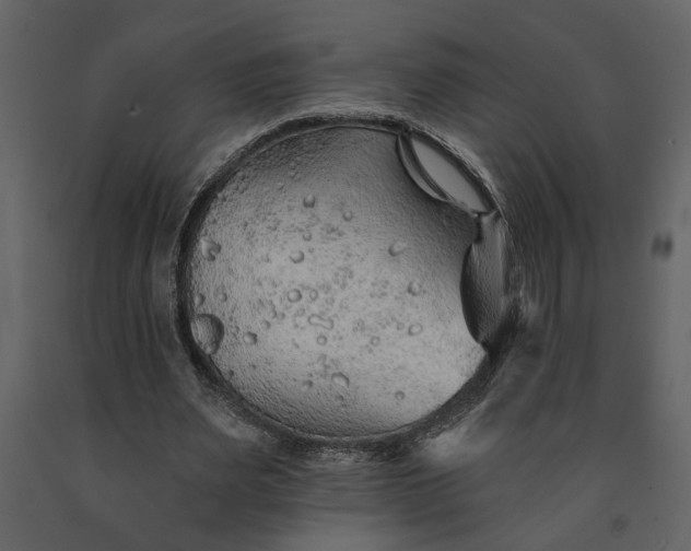 X0000091230487200708231658
