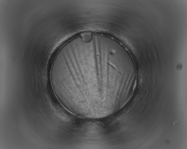 X0000091230488200708231658