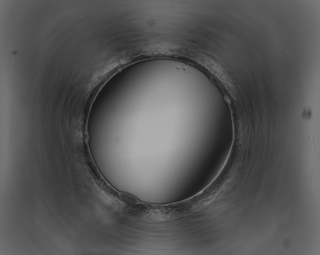 X0000091230489200708231657