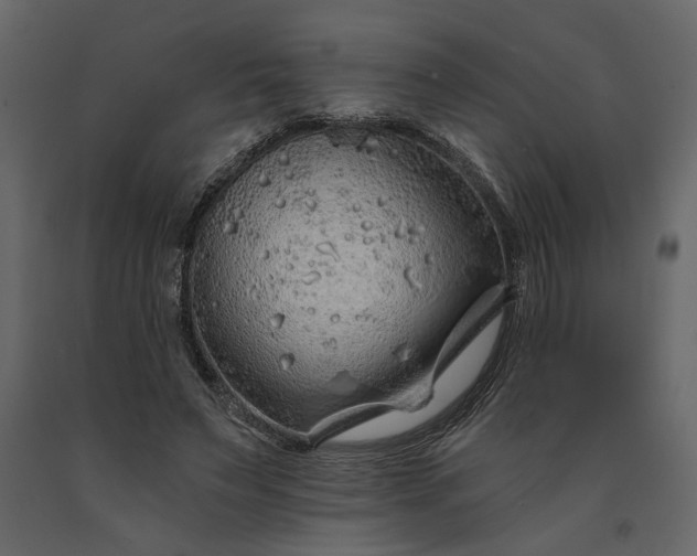 X0000091230495200708231657